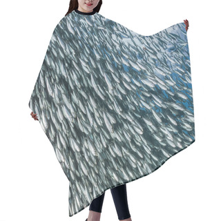 Personality  Sardine School Of Fish Underwater Hair Cutting Cape