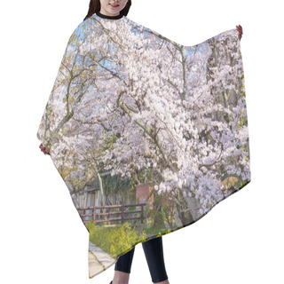 Personality  Philosopher's Walk In Kyoto Hair Cutting Cape