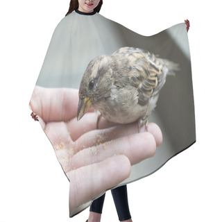 Personality  One Sparrows In The Palm Of Your Hand Hair Cutting Cape