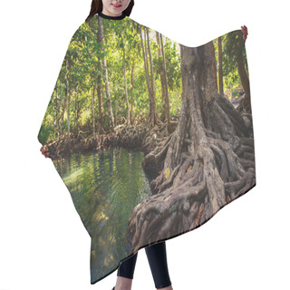 Personality  River  In Tropical Park Hair Cutting Cape
