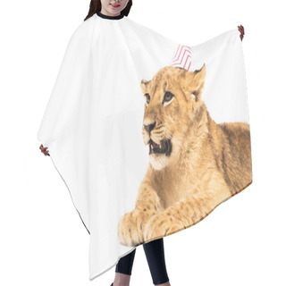 Personality  Cute Lion Cub In Party Cap Isolated On White Hair Cutting Cape