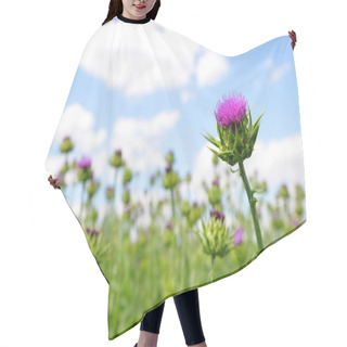 Personality  Field With Silybum Marianum Hair Cutting Cape
