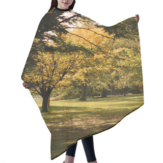 Personality  Autumn Trees With Sunlight On Meadow In Central Park In New York City Hair Cutting Cape