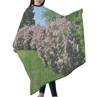 Personality  Backyard Landscaping Hair Cutting Cape