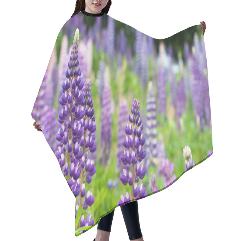 Personality  Wild lupines hair cutting cape