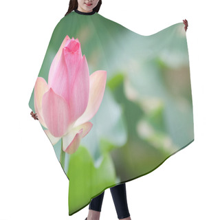 Personality  Lotus Flower Hair Cutting Cape