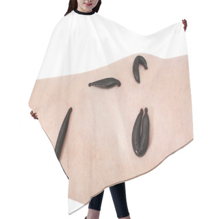 Personality  Hirudotherapy, Medical Leech Hair Cutting Cape