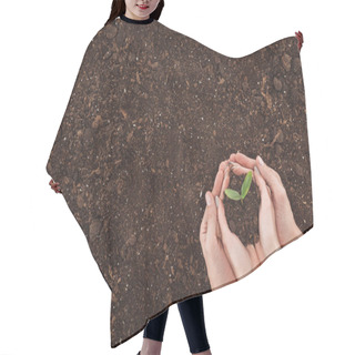 Personality  Cropped View Of Couple Holding Ground With Small Plant In Hands, Protecting Nature Concept  Hair Cutting Cape