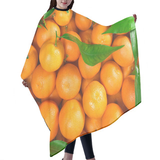Personality  Oranges Hair Cutting Cape