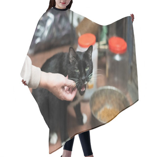 Personality  Touch And Feed A Stray Cat Hair Cutting Cape