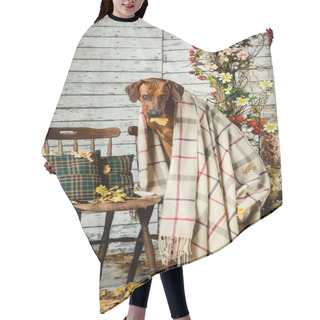 Personality  Rhodesian Ridgeback With A Plaid In Autumn Decorations Hair Cutting Cape