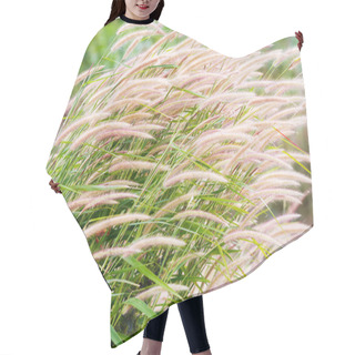 Personality  Fountain Grass Hair Cutting Cape