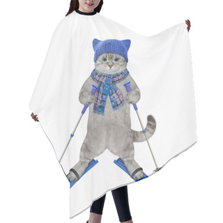 Personality  An Ashen Cat Dressed In A Blue Scarf And A Hat Is Skiing. White Background. Isolated. Hair Cutting Cape