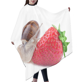 Personality  Snail Creeps On A Strawberry Hair Cutting Cape