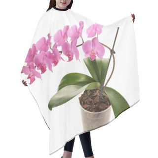 Personality  Pink Orchid Flower Hair Cutting Cape