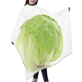Personality  Green Iceberg Alcapucci On White Background Hair Cutting Cape