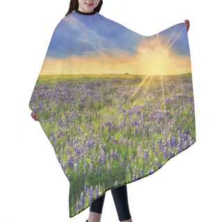 Personality  Texas Bluebonnet Field At Sunset Hair Cutting Cape