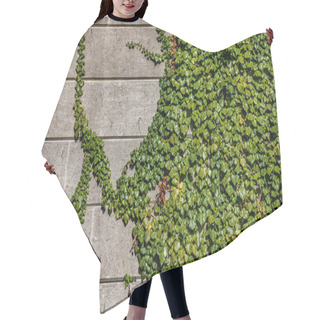 Personality  Ivy Hair Cutting Cape