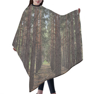 Personality  Forest With Tall Pine Textured Trees In Rows Hair Cutting Cape