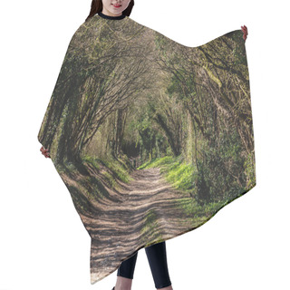 Personality  Looking Along A Tree Lined Pathway, In The West Sussex Countryside Hair Cutting Cape