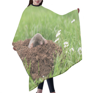 Personality  Mole In The Garden Hair Cutting Cape