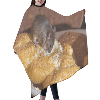 Personality  Mouse In The Kitchen Hair Cutting Cape