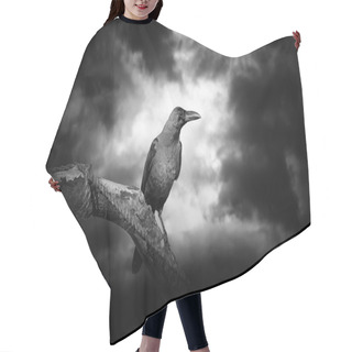 Personality  Raven On A Branch Hair Cutting Cape
