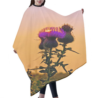 Personality  Thistles At Sunset Hair Cutting Cape