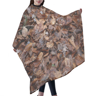 Personality  Dead Brown Leafs Macro Background High Quality Prints Winter Sea Hair Cutting Cape