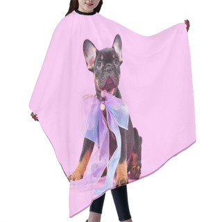 Personality  Tan Colored French Bulldog Dog Puppy With Pink Ribbon Hair Cutting Cape
