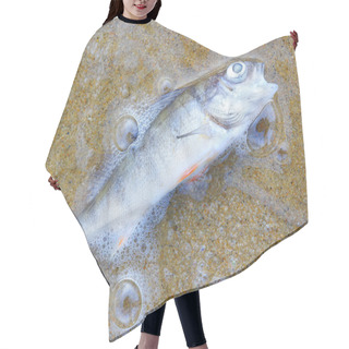 Personality  Dead Fish On The Beach Hair Cutting Cape