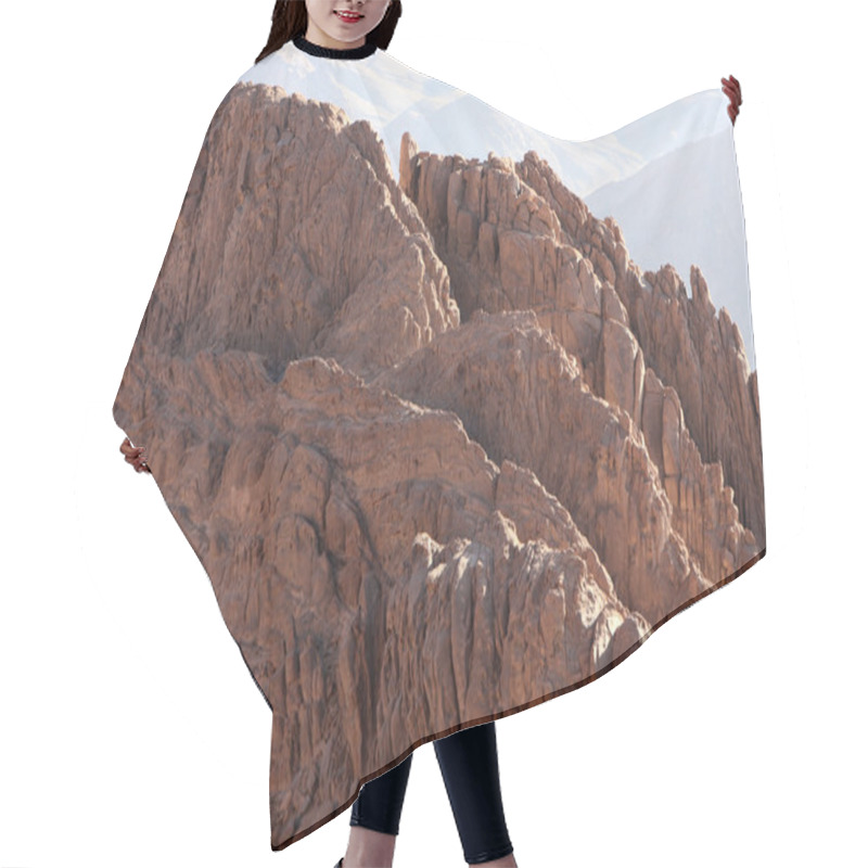 Personality  Mount Sinai Hair Cutting Cape