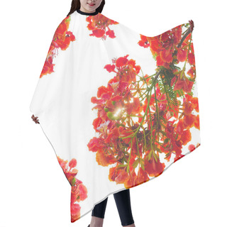 Personality  Red Flower Peacock Hair Cutting Cape