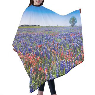 Personality  A Wide Angle High Resolution Panoramic View Of A Beautiful Field Of Wildflowers Hair Cutting Cape