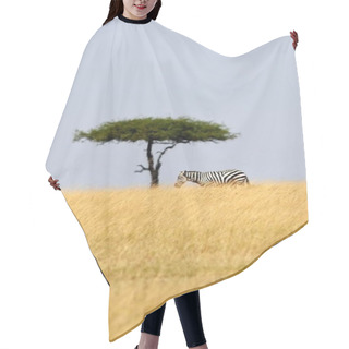 Personality  Zebra With Baobab Tree In The Nature Habitat  Hair Cutting Cape