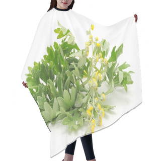 Personality  Wormwood On White Background Hair Cutting Cape