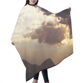 Personality  Eagle In The Sky Hair Cutting Cape