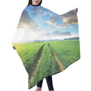 Personality  Spring Rural Landscape At Sunrise. Dirt Road In Wheat Field. Czech Republic. Hair Cutting Cape