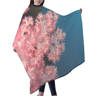 Personality  Soft Coral Hair Cutting Cape