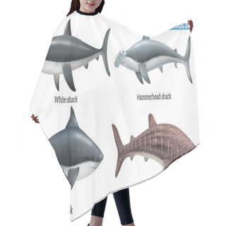 Personality  Realistic Dangerous Shark Species Icons Set Isolated Vector Illustration Hair Cutting Cape