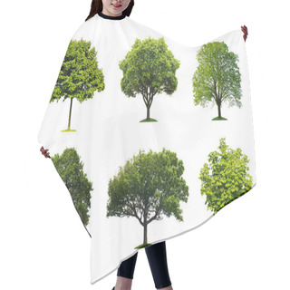 Personality  Collection Of Isolated Summer Tree Hair Cutting Cape