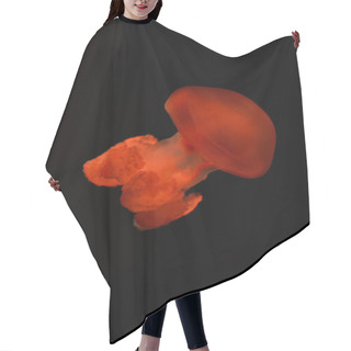 Personality  Blue Blubber Jellyfish In Red Neon Light On Black Background Hair Cutting Cape