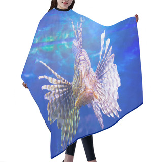 Personality  Dangerous Lionfish Zebra Fish In The Indian Ocean Water Hair Cutting Cape