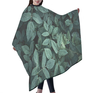 Personality  Trend Dark Green Background With Leaves. Plant In Shadow. Copyspace For Design Hair Cutting Cape