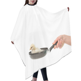 Personality  Partial View Of Woman Holding Frying Pan With Little Chick Isolated On White, Animal Eating Protest Concept Hair Cutting Cape
