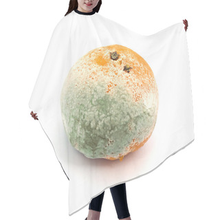 Personality  Mouldy Fruit Hair Cutting Cape