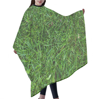 Personality  Top View Of Green Grass On Meadow Hair Cutting Cape
