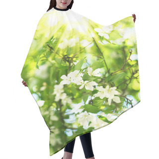 Personality  Spring Hair Cutting Cape