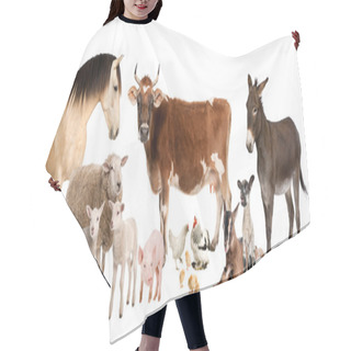 Personality  Group Of Farm Animals : Cow, Sheep, Horse, Donkey, Chicken, Lamb Hair Cutting Cape