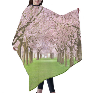 Personality  Cherry Blossoms Plenitude Hair Cutting Cape